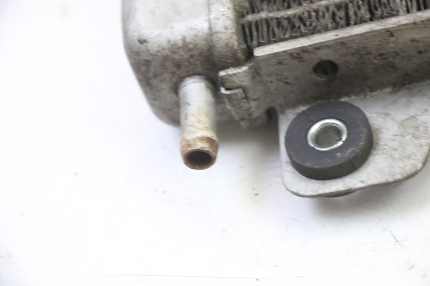 photo de RADIATOR GILERA NEXUS 125 (2009 - 2013)