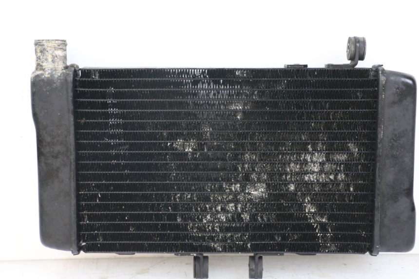 photo de RADIATOR HONDA NTV DEAUVILLE 650 (1998 - 2001)