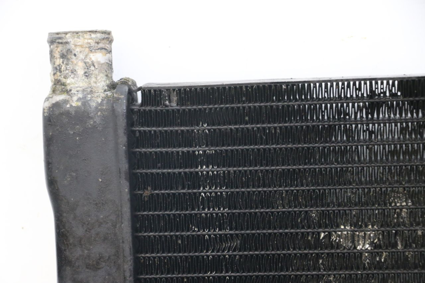 photo de RADIATOR HONDA NTV DEAUVILLE 650 (1998 - 2001)