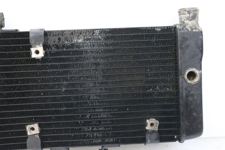 photo de RADIATOR HONDA NTV DEAUVILLE 650 (1998 - 2001)