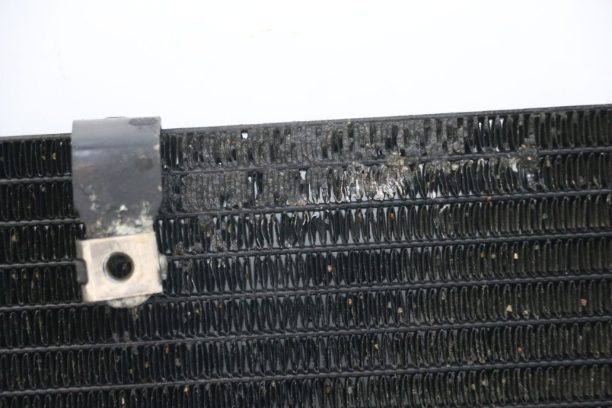 photo de RADIATOR HONDA NTV DEAUVILLE 650 (1998 - 2001)