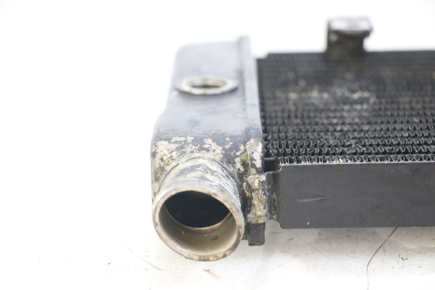 photo de RADIATOR HONDA NTV DEAUVILLE 650 (1998 - 2001)