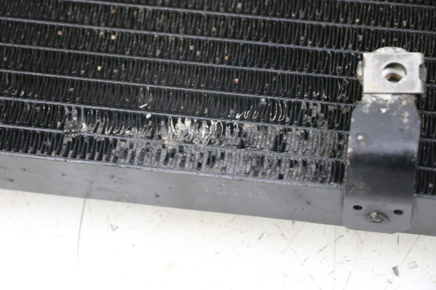 photo de RADIATOR HONDA NTV DEAUVILLE 650 (1998 - 2001)