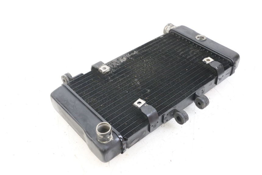 photo de RADIATOR HONDA NTV DEAUVILLE 650 (1998 - 2001)
