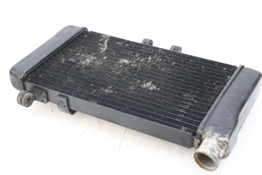 photo de RADIATOR HONDA NTV DEAUVILLE 650 (1998 - 2001)