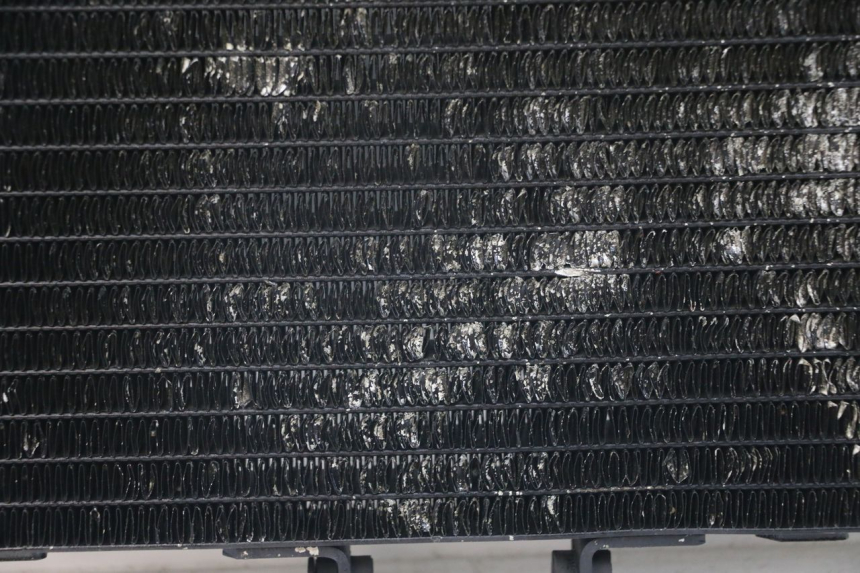photo de RADIATOR HONDA NTV DEAUVILLE 650 (1998 - 2001)