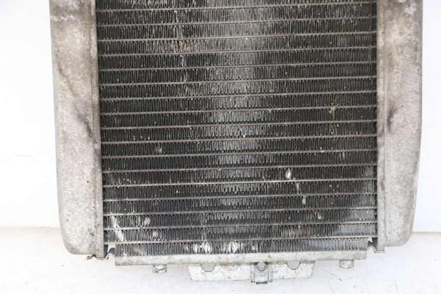 photo de COOLANT RADIATOR PIAGGIO MP3 125 (2006 - 2014)