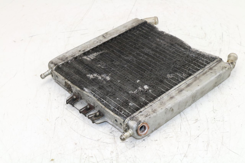 photo de COOLANT RADIATOR PIAGGIO X8 125 (2004 - 2007)