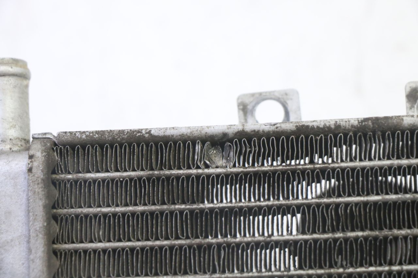 photo de RADIATOR GILERA RUNNER SP 50 (2009 - 2017)
