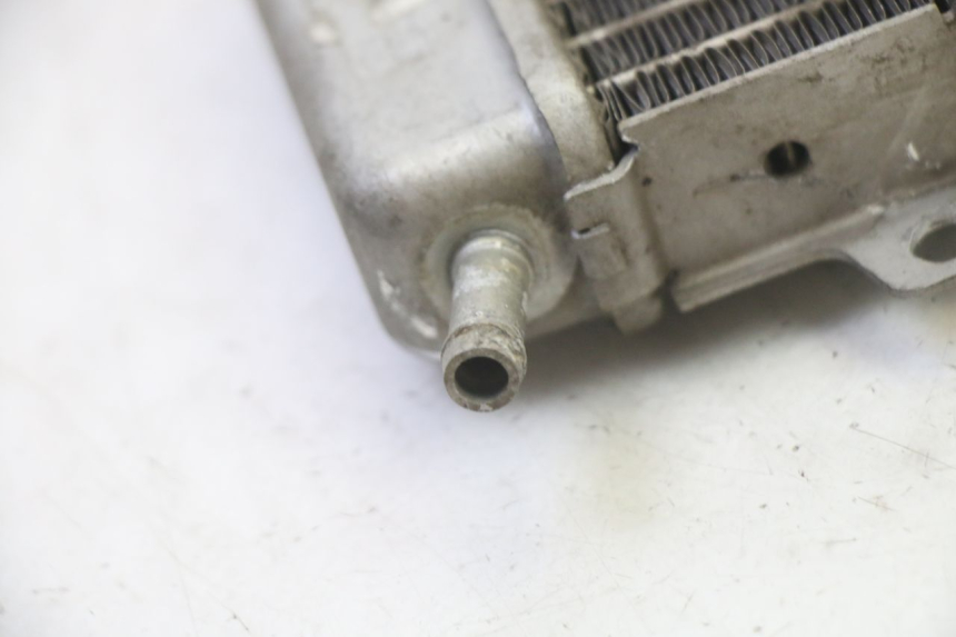 photo de RADIATOR GILERA RUNNER SP 50 (2009 - 2017)