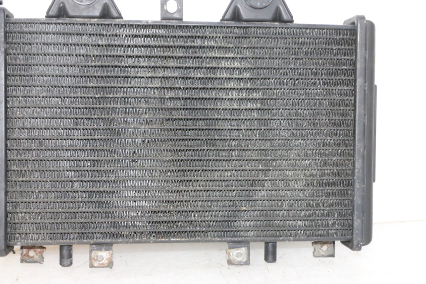 photo de COOLANT RADIATOR TRIUMPH SPRINT 900 (1995 - 1998)