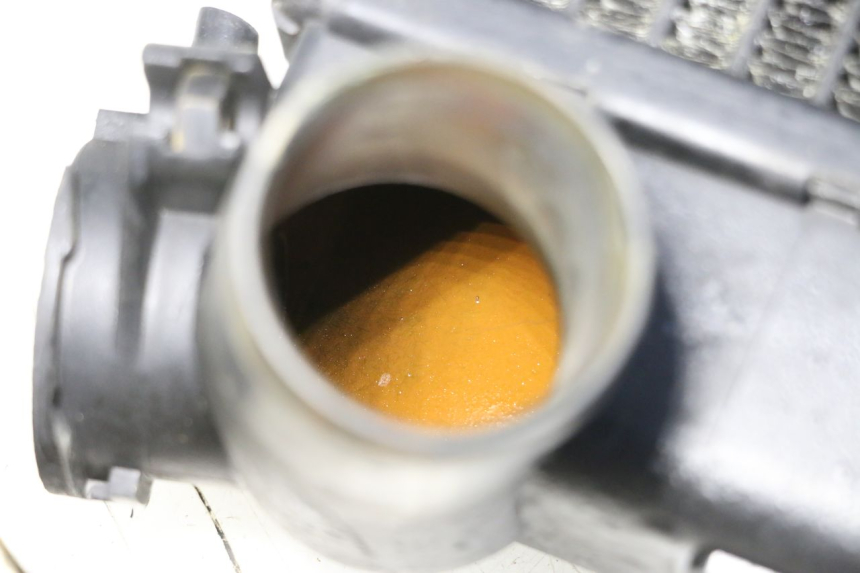 photo de COOLANT RADIATOR TRIUMPH SPRINT 900 (1995 - 1998)