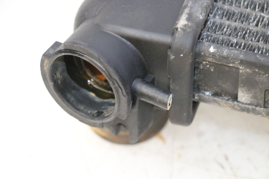 photo de COOLANT RADIATOR TRIUMPH SPRINT 900 (1995 - 1998)