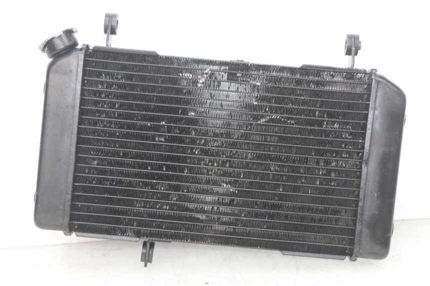 photo de RADIATOR SUZUKI SV N 650 (1999 - 2002)