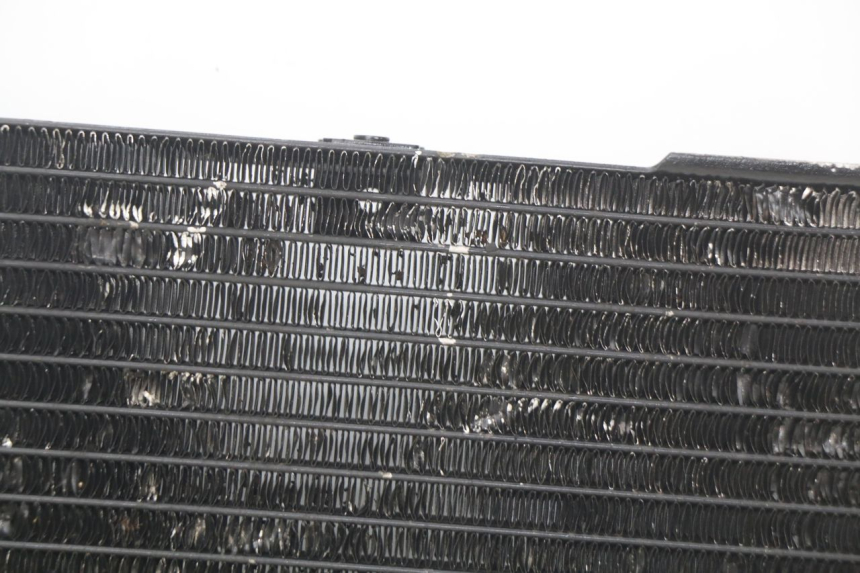 photo de RADIATOR SUZUKI SV N 650 (1999 - 2002)