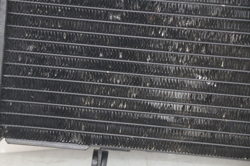 photo de RADIATOR SUZUKI SV N 650 (1999 - 2002)