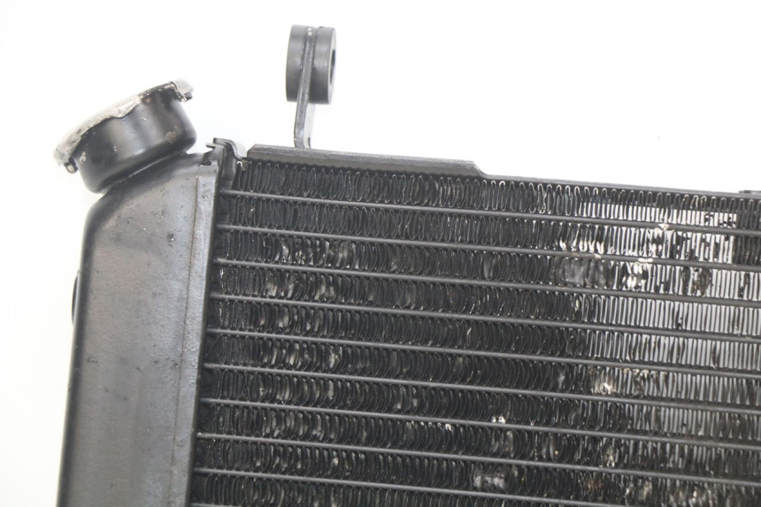 photo de RADIATOR SUZUKI SV N 650 (1999 - 2002)