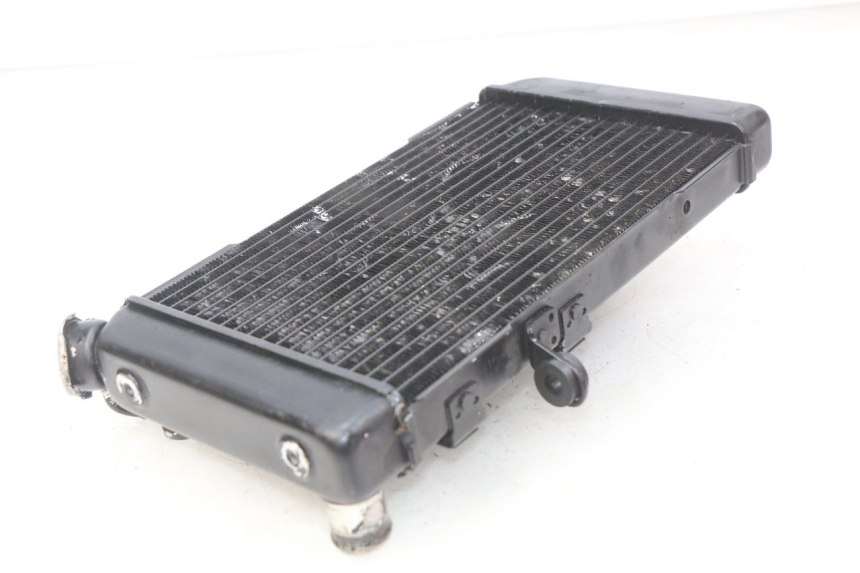 photo de RADIATOR SUZUKI SV N 650 (1999 - 2002)