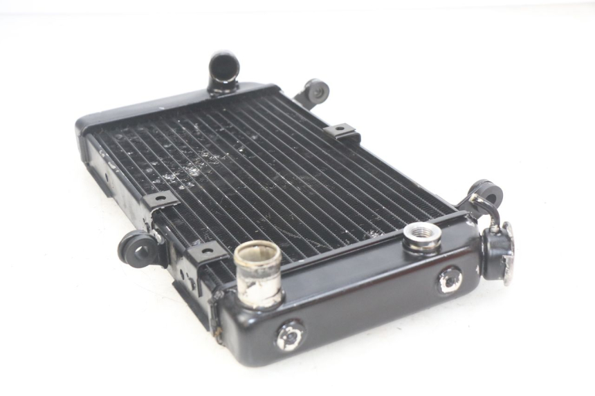 photo de RADIATOR SUZUKI SV N 650 (1999 - 2002)