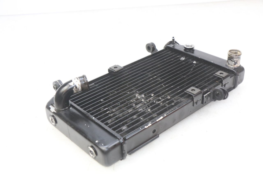 photo de RADIATOR SUZUKI SV N 650 (1999 - 2002)