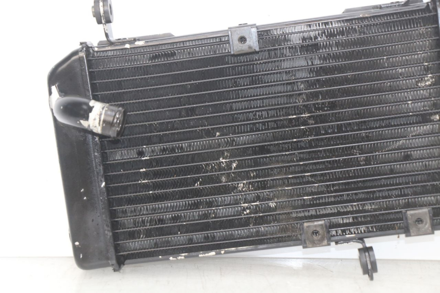 photo de RADIATOR SUZUKI SV N 650 (1999 - 2002)