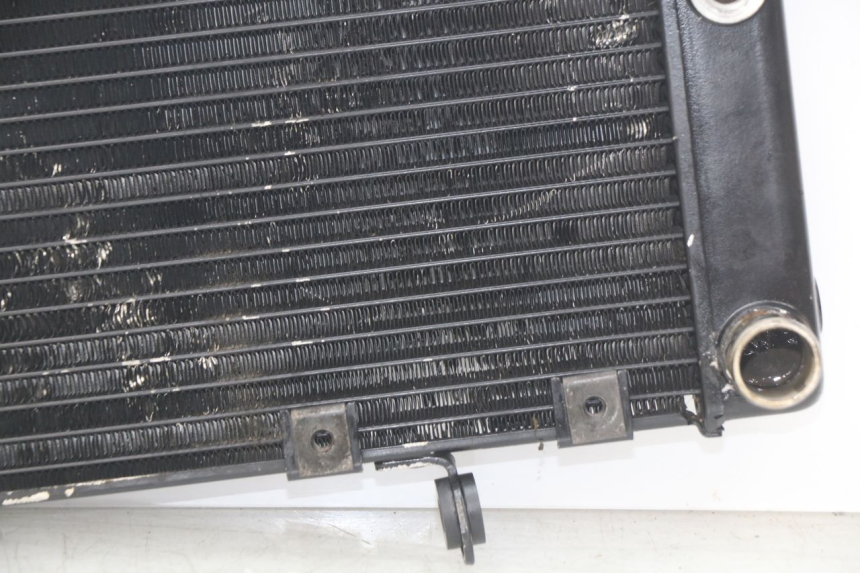 photo de RADIATOR SUZUKI SV N 650 (1999 - 2002)