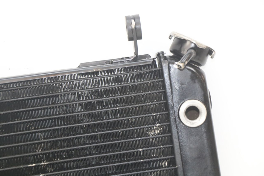 photo de RADIATOR SUZUKI SV N 650 (1999 - 2002)