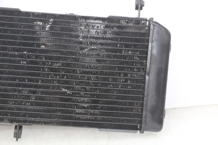 photo de RADIATOR SUZUKI SV N 650 (1999 - 2002)