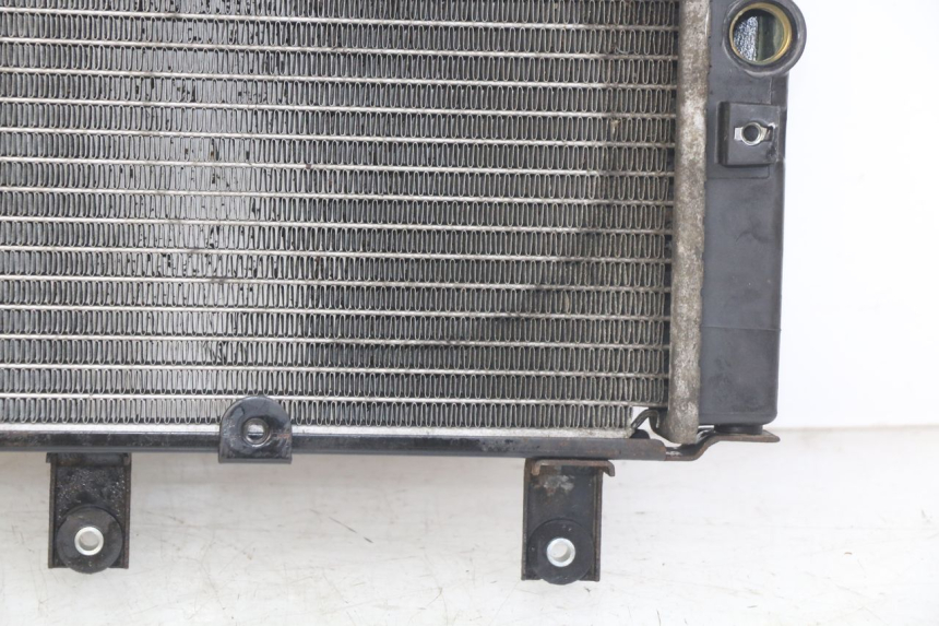 photo de RADIATOR SYM GTS EFI 125 (2012 - 2016)
