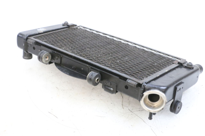 photo de RADIATOR YAMAHA TDM ABS 900 (2002 - 2014)