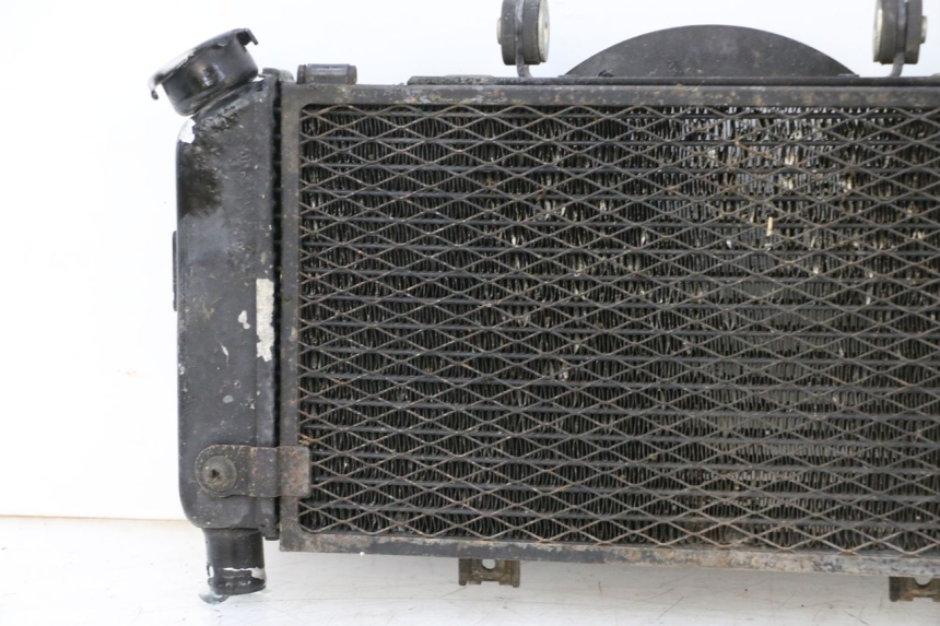 photo de COOLANT RADIATOR YAMAHA TDM ABS 900 (2002 - 2014) - Additional view of the item