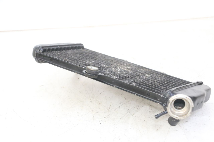 photo de RADIATOR YAMAHA TDR DELTABOX 125 (1993 - 2003)