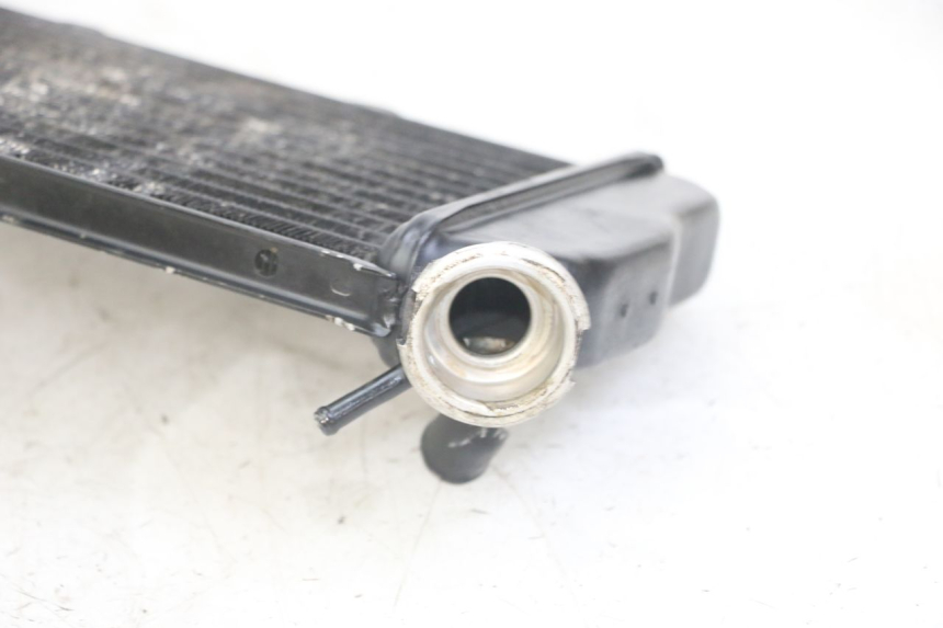 photo de RADIATOR YAMAHA TDR DELTABOX 125 (1993 - 2003)