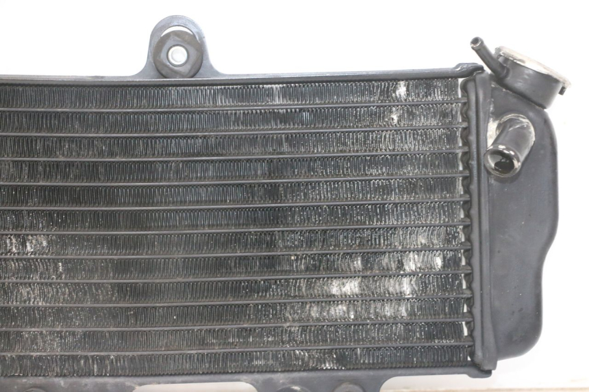 photo de RADIATOR YAMAHA TDR DELTABOX 125 (1993 - 2003)