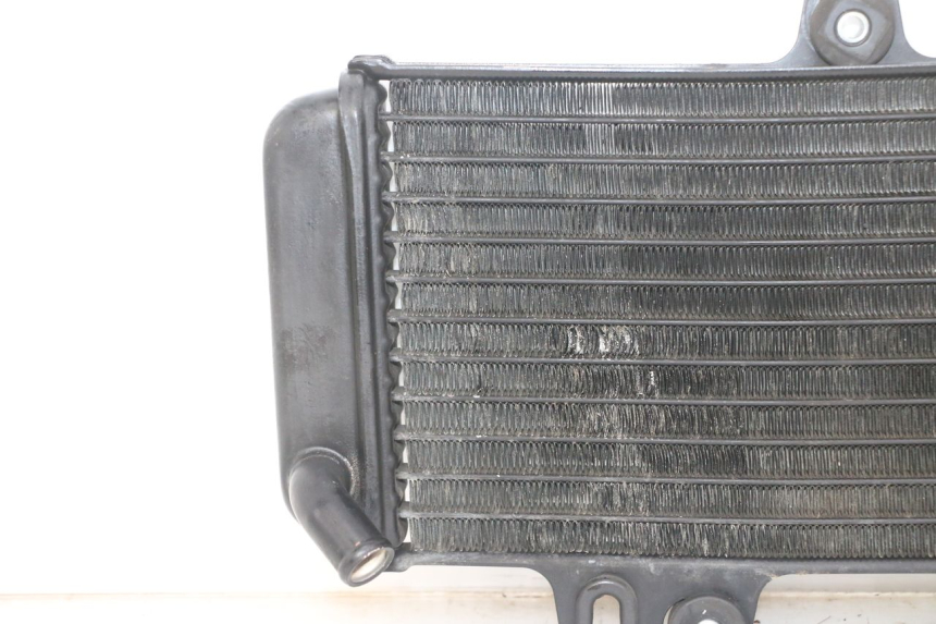 photo de RADIATOR YAMAHA TDR DELTABOX 125 (1993 - 2003)