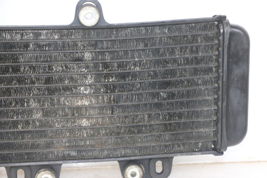 photo de RADIATOR YAMAHA TDR DELTABOX 125 (1993 - 2003)