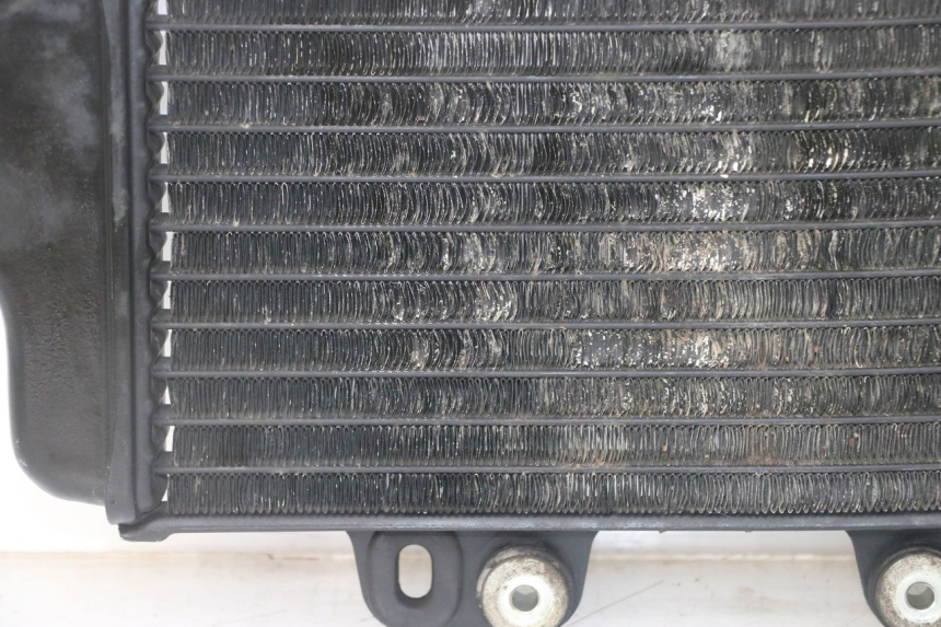 photo de RADIATOR YAMAHA TDR DELTABOX 125 (1993 - 2003)