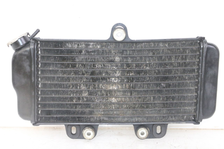 photo de RADIATOR YAMAHA TDR DELTABOX 125 (1993 - 2003)
