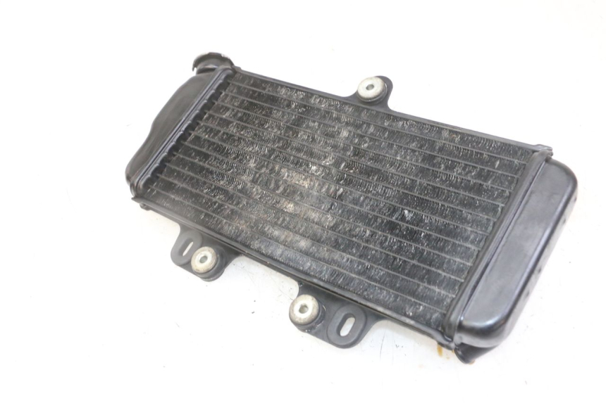 photo de RADIATOR YAMAHA TDR DELTABOX 125 (1993 - 2003)