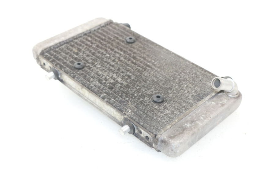 photo de COOLANT RADIATOR YAMAHA XMAX X-MAX ABS 125 (2014 - 2016) - Zoom on usage condition