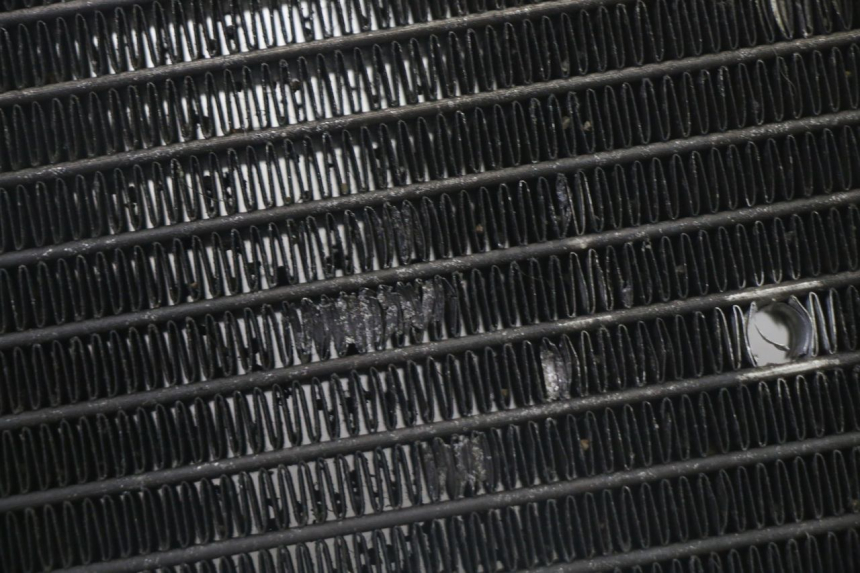 photo de RADIATOR YAMAHA X-MAX XMAX 125 (2010 - 2014)