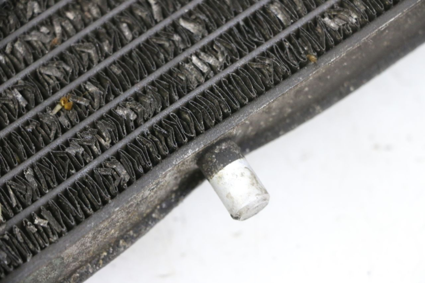 photo de RADIATOR YAMAHA X-MAX XMAX 125 (2010 - 2014) - Checked used part