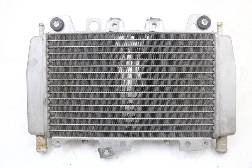 photo de RADIATOR PIAGGIO X10 125 (2012 - 2017)