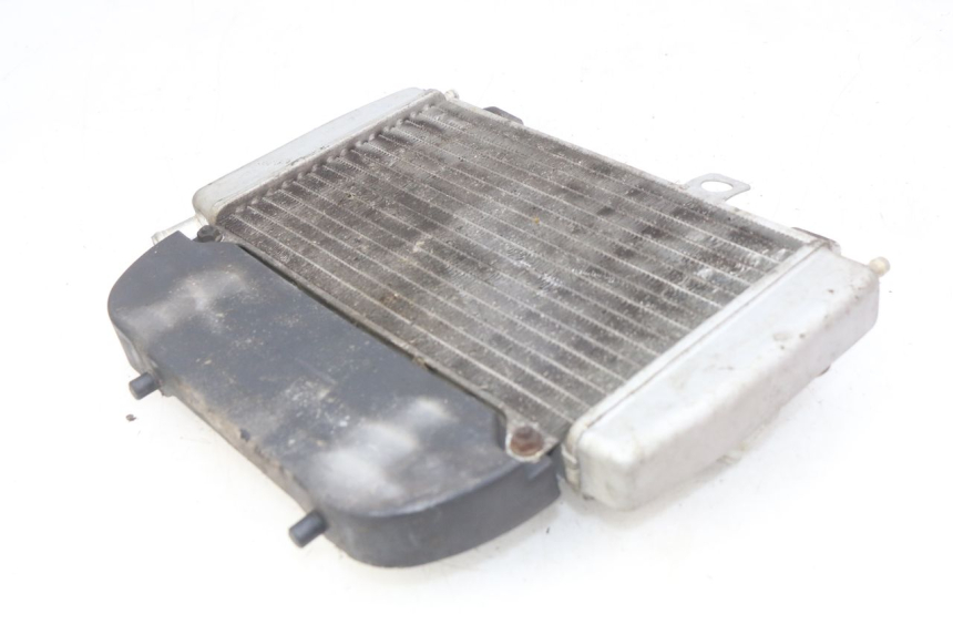 photo de RADIATOR PIAGGIO X9 EVOLUTION 250 (2003 - 2007)