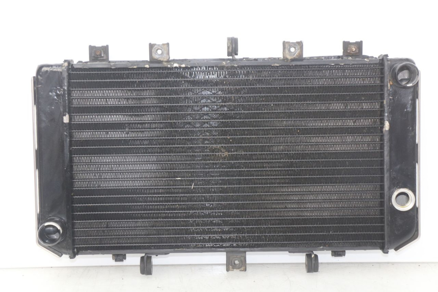 photo de RADIATOR KAWASAKI Z S 750 (2003 - 2006)