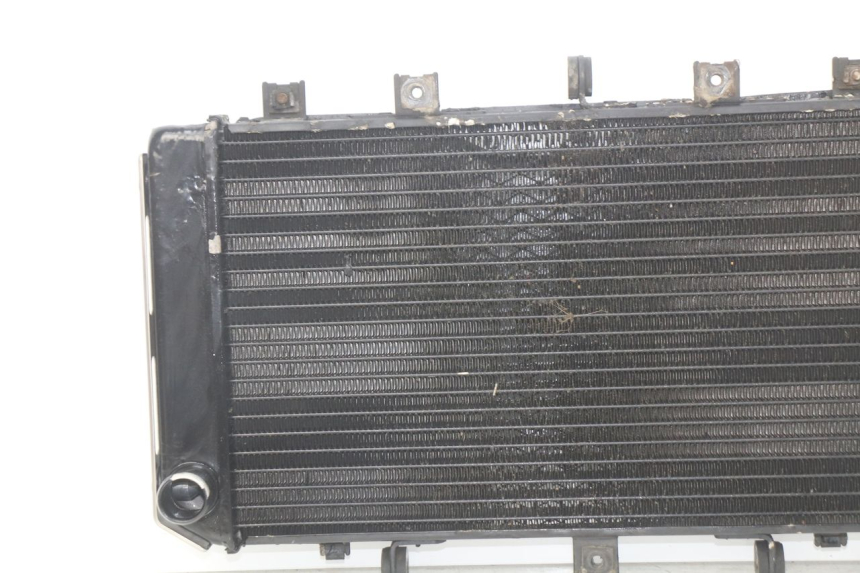 photo de RADIATOR KAWASAKI Z S 750 (2003 - 2006)