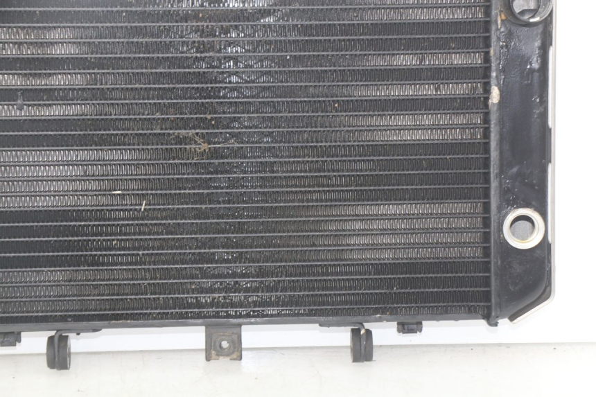 photo de RADIATOR KAWASAKI Z S 750 (2003 - 2006)