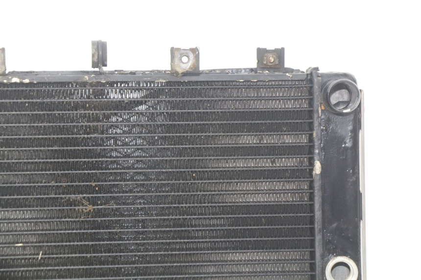 photo de RADIATOR KAWASAKI Z S 750 (2003 - 2006)