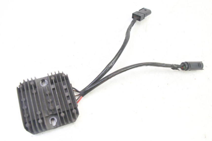 photo de REGULATOR BMW G310 R 310 (2016 - 2020)
