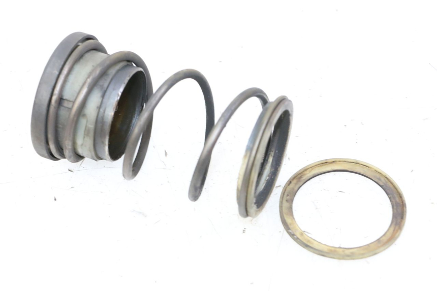 photo de CLUTCH SPRING HONDA FORZA ABS 300 (2013 - 2019)